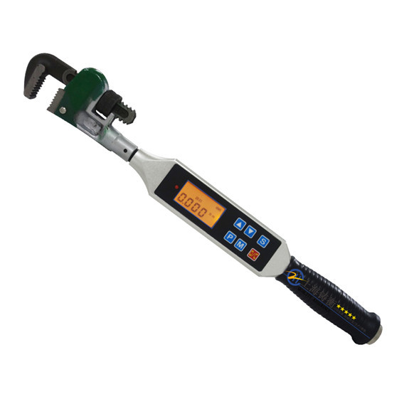 ���Q�^�����@ʾ�ĵęz�yŤ������